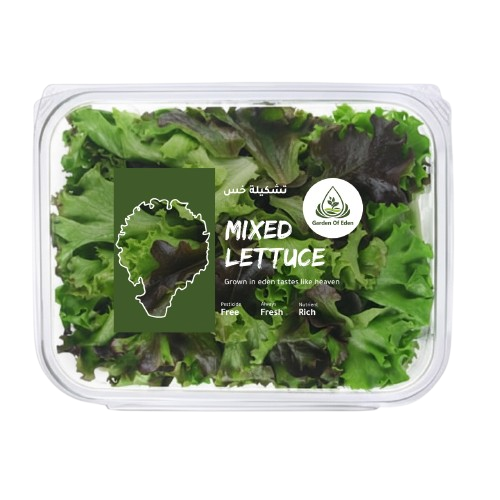 Mixed Lettuce
